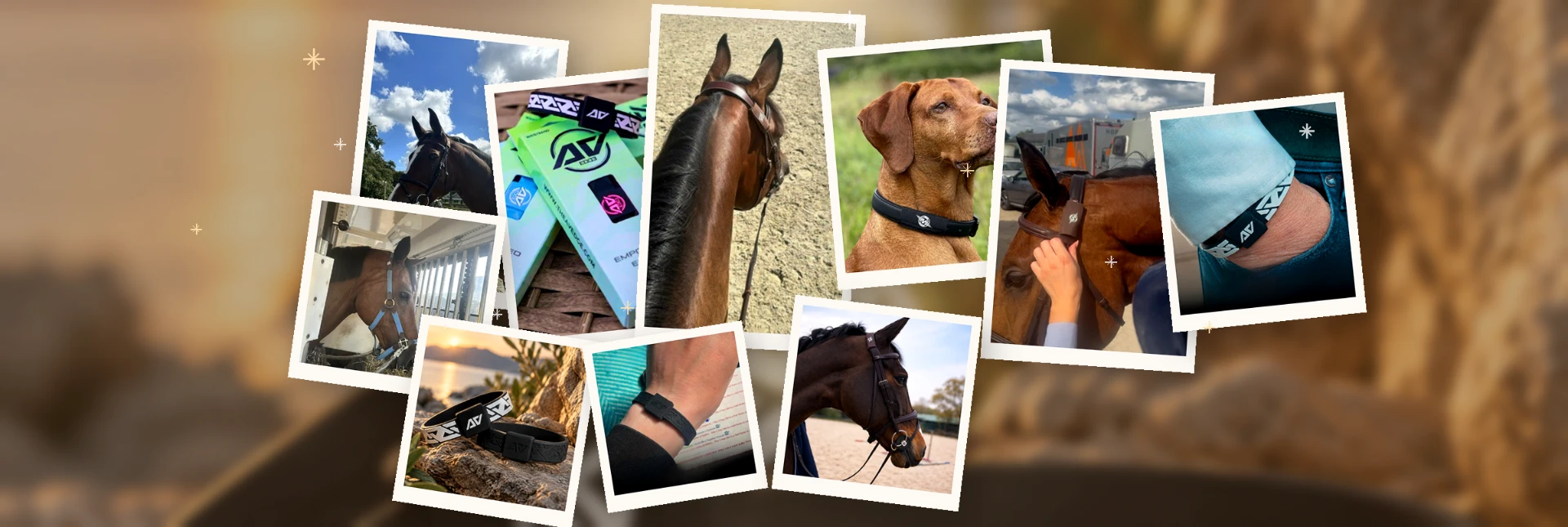 Collage van paarden, honden, polsbanden en AV Edge producten